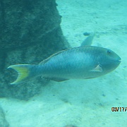 Picture 180